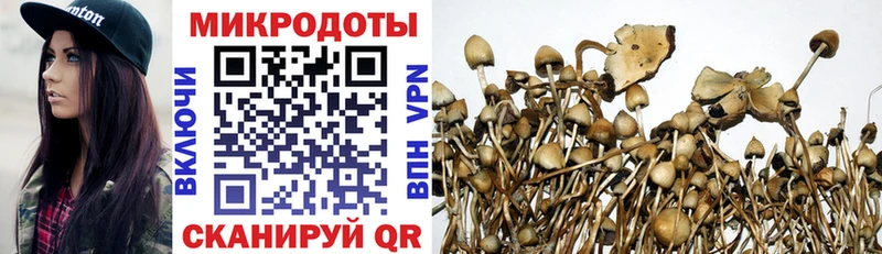 Псилоцибиновые грибы GOLDEN TEACHER  купить   Мураши 